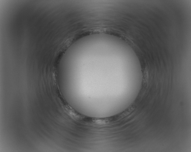 X0000068300522200604211014