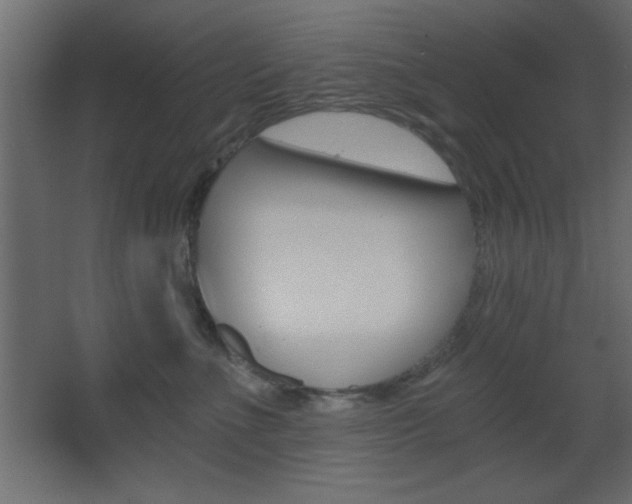 X0000068300523200604211014