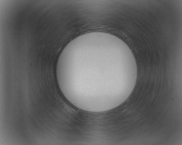 X0000068300524200604211014