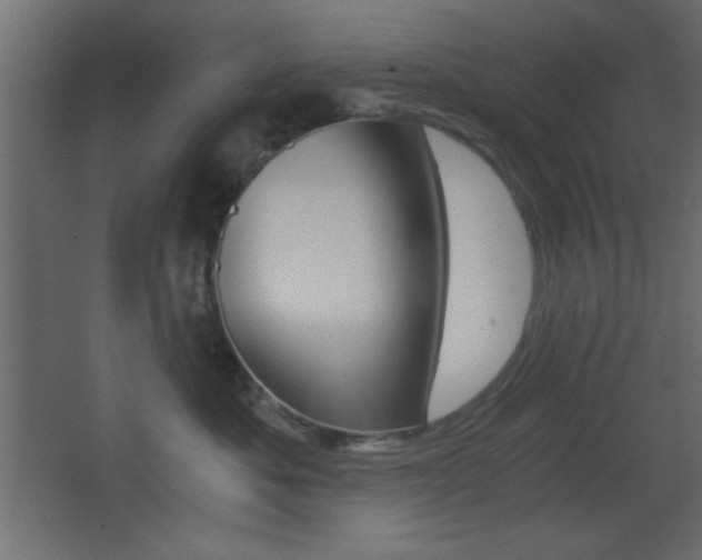 X0000068300525200604211014