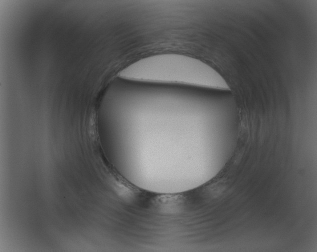 X0000068300526200604211014