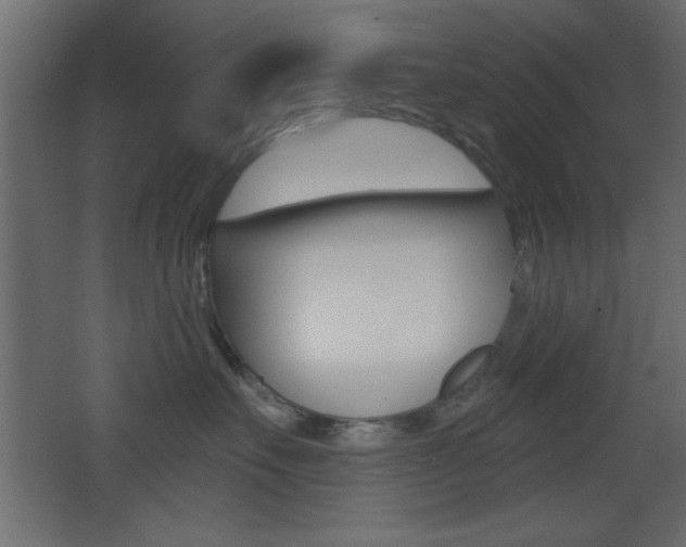 X0000068300527200604211014