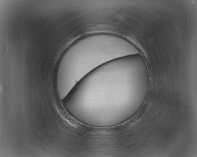 X0000068300533200604211013