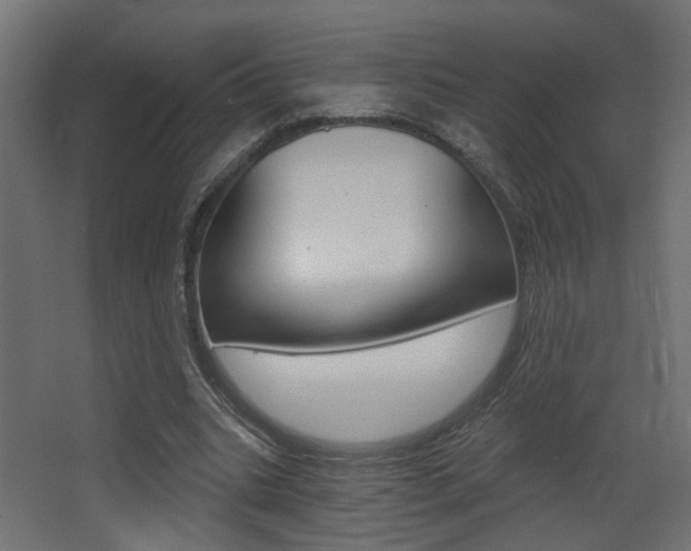 X0000068300535200604211013