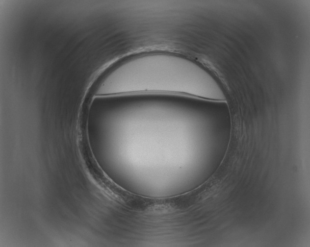 X0000068300536200604211013