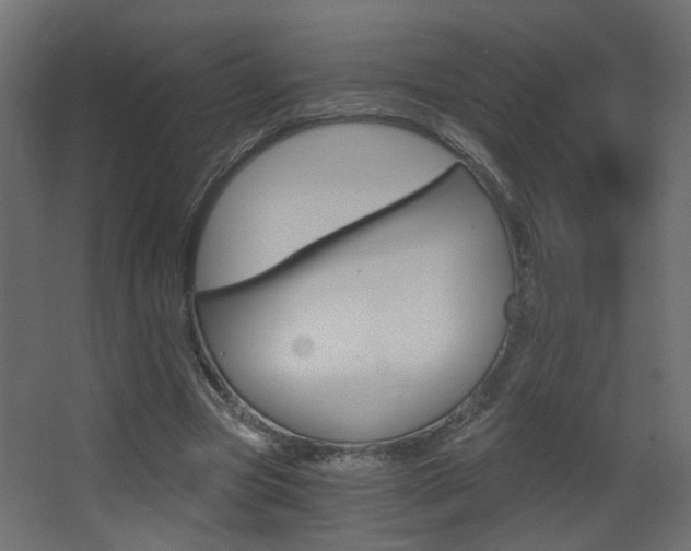 X0000068300537200604211013