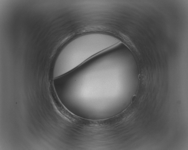 X0000068300538200604211013