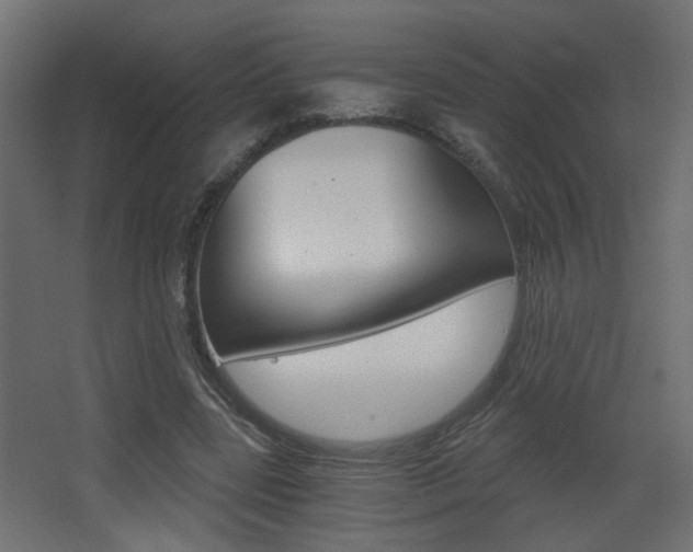 X0000068300539200604211013