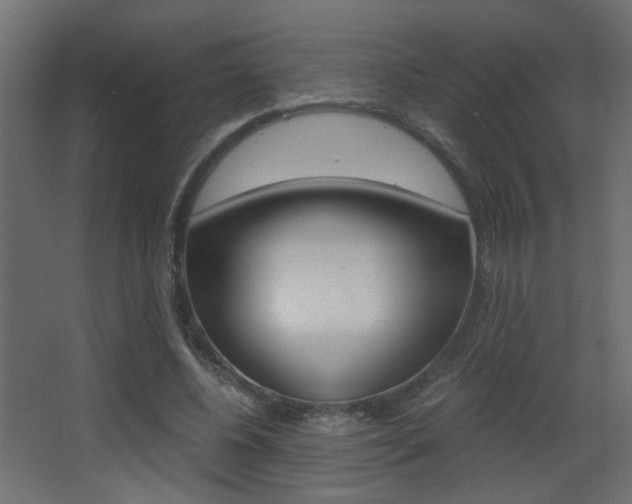 X0000068300540200604211013