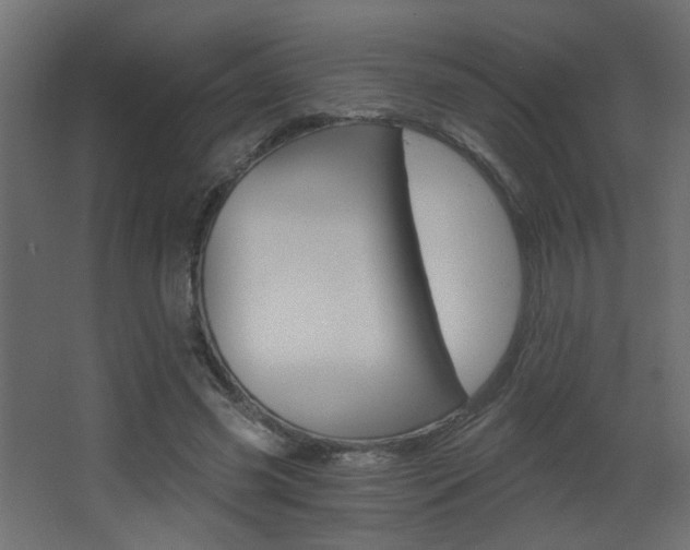 X0000068300541200604211013