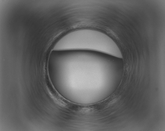 X0000068300542200604211013