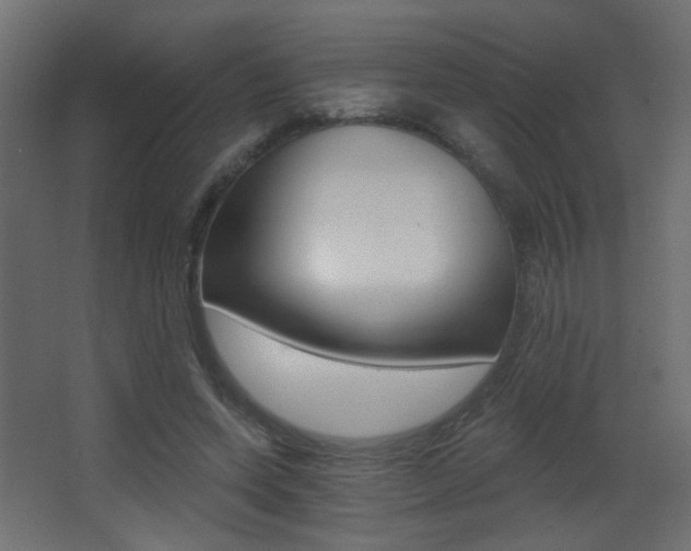X0000068300543200604211013