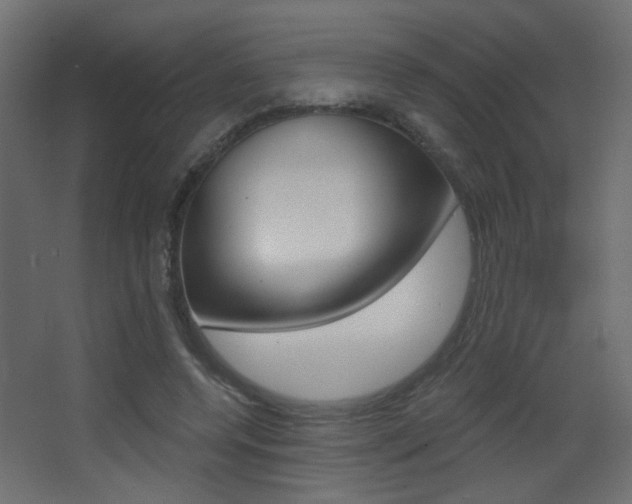 X0000068300544200604211013