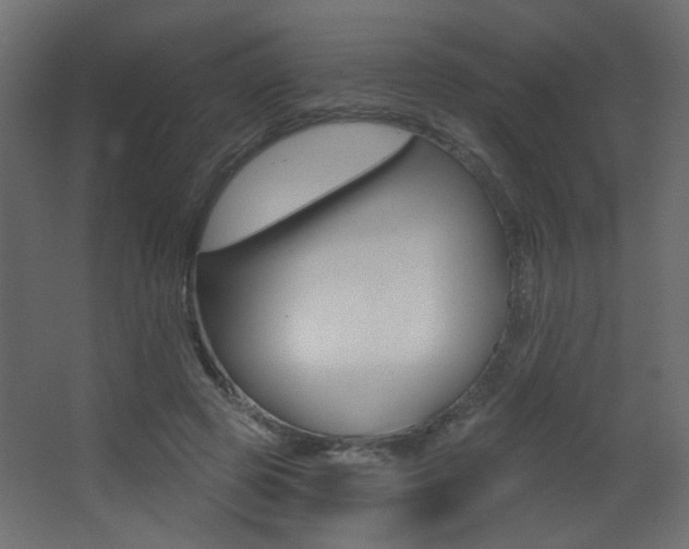 X0000068300545200604211013