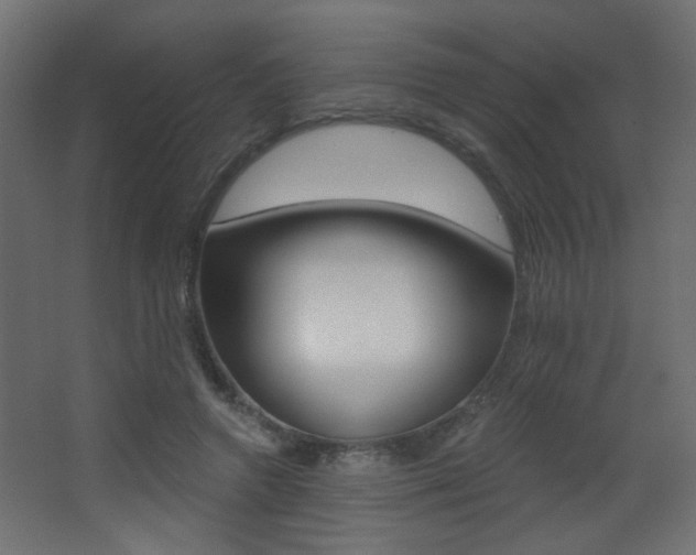 X0000068300546200604211013