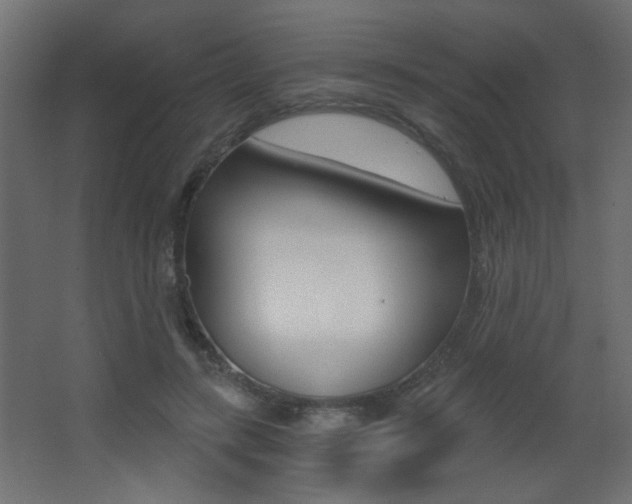 X0000068300547200604211013