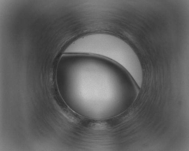 X0000068300548200604211013