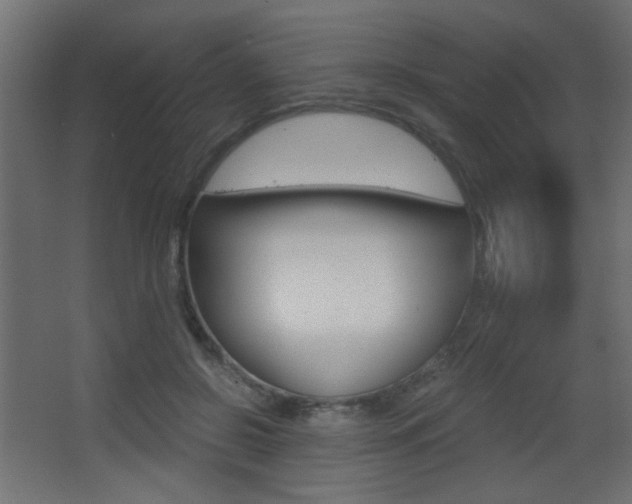 X0000068300550200604211013