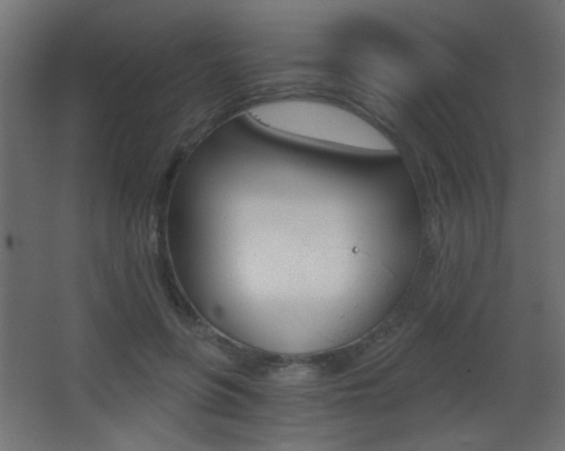 X0000068300551200604211013