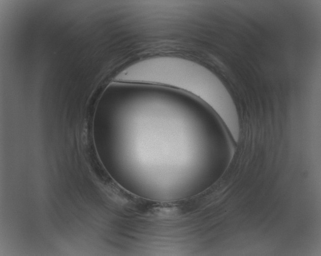 X0000068300552200604211013