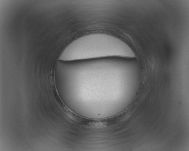 X0000068300553200604211013