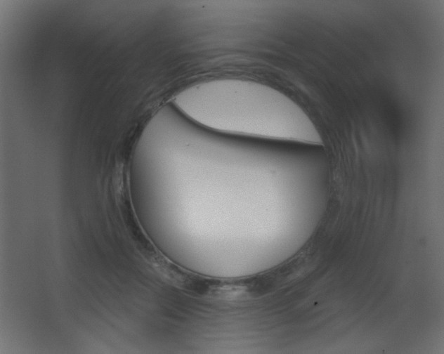 X0000068300554200604211013