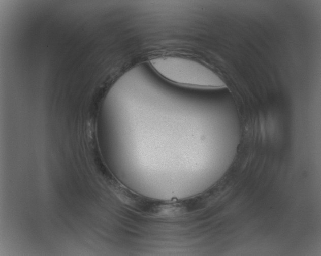 X0000068300555200604211013