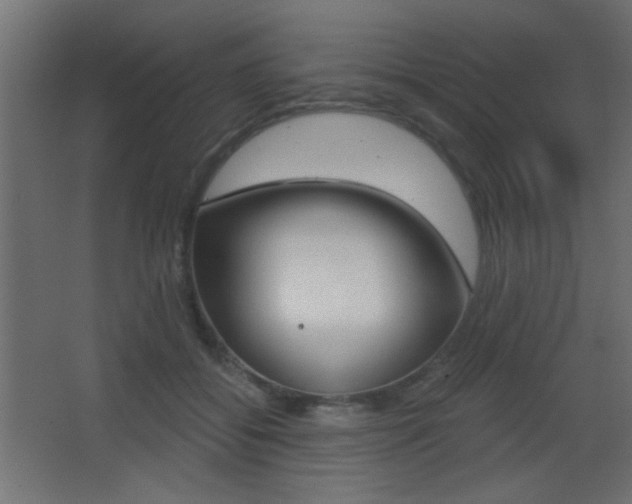 X0000068300556200604211013