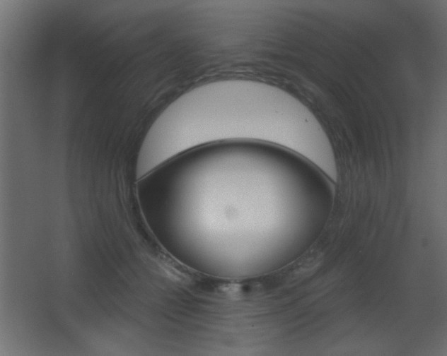 X0000068300558200604211013