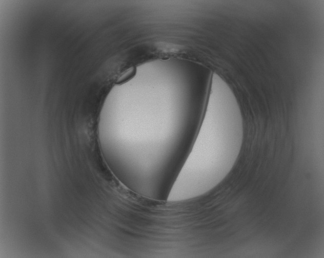 X0000068300559200604211013