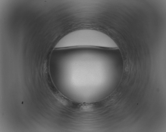 X0000068300560200604211013