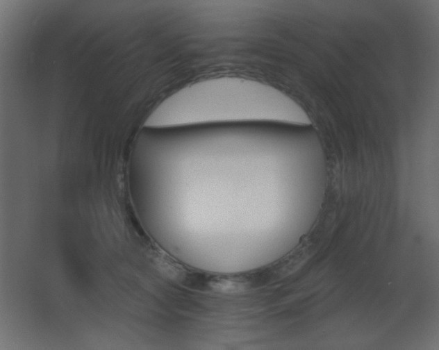 X0000068300561200604211013