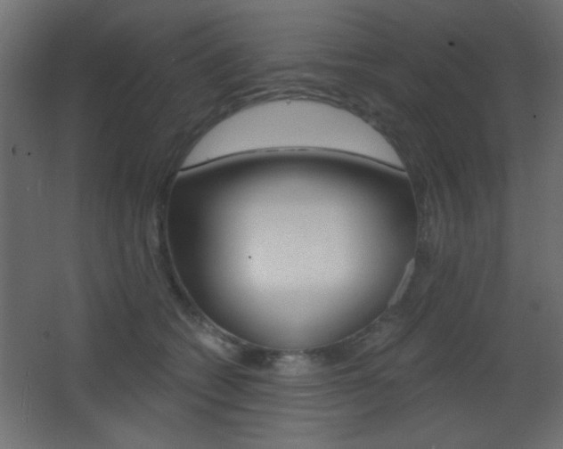 X0000068300562200604211013