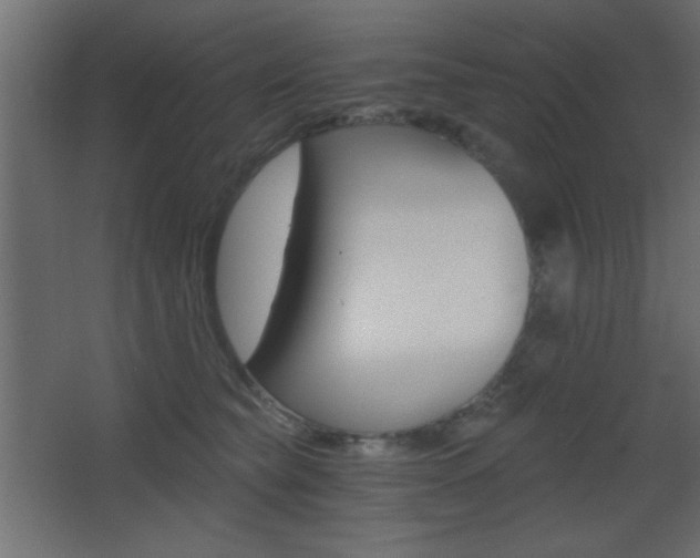 X0000068300565200604211014