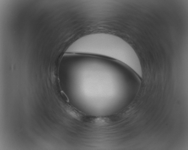 X0000068300566200604211014