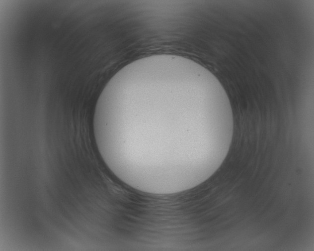 X0000068300570200604211014