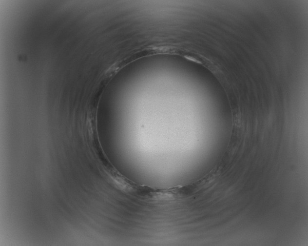 X0000068300572200604211014