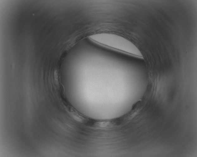 X0000068300575200604211014