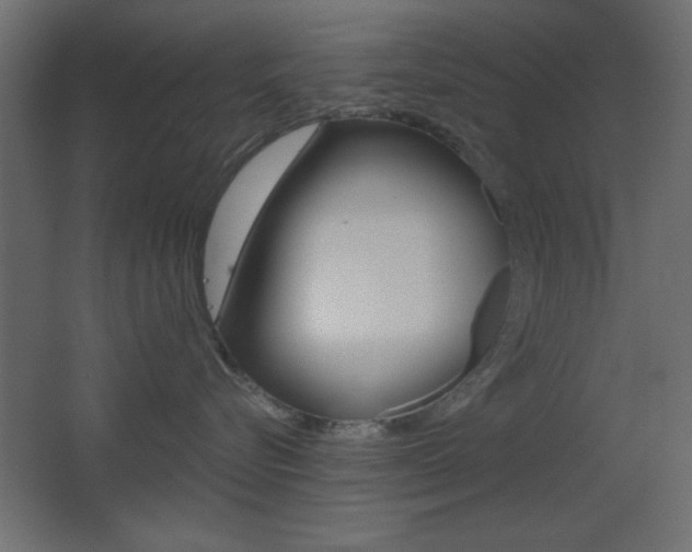 X0000068300576200604211014