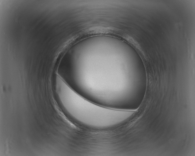 X0000068300581200604211013