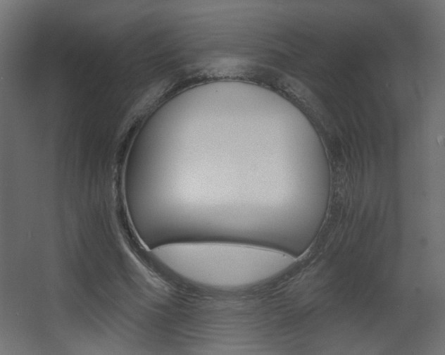 X0000068300586200604211013
