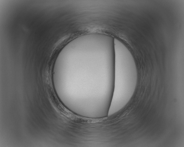 X0000068300587200604211013