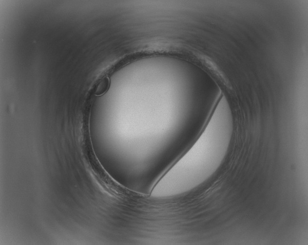 X0000068300588200604211013