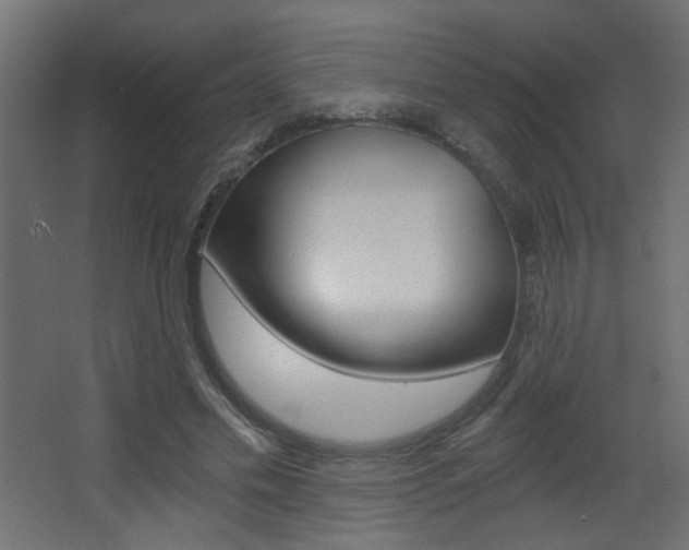 X0000068300589200604211013