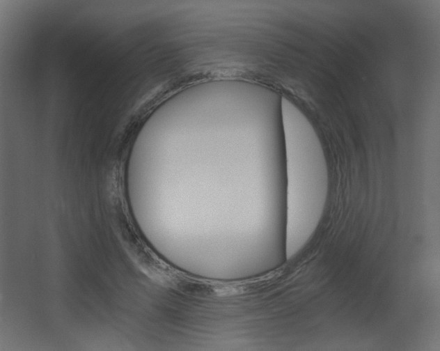 X0000068300591200604211013
