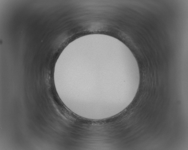X0000068300592200604211013