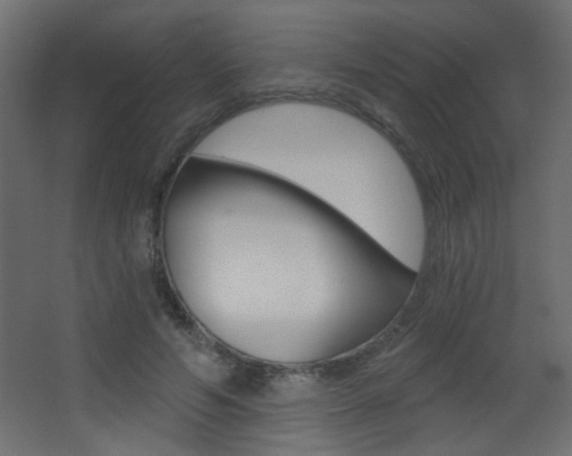 X0000068300594200604211013