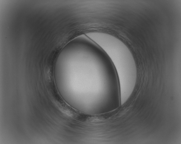 X0000068300597200604211013
