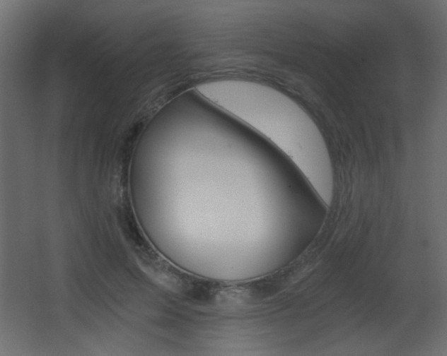 X0000068300599200604211013