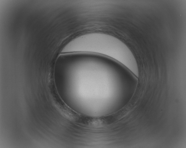 X0000068300600200604211013